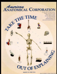 american_anatomical001006.jpg