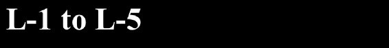 american_anatomical004018.jpg