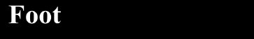 american_anatomical009010.jpg