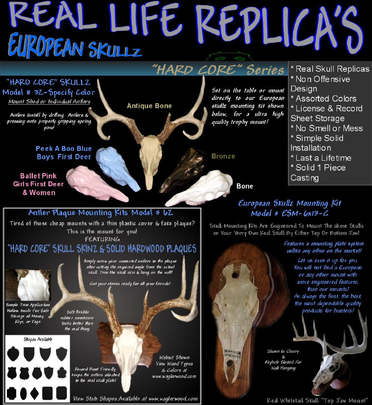american_anatomical012003.jpg