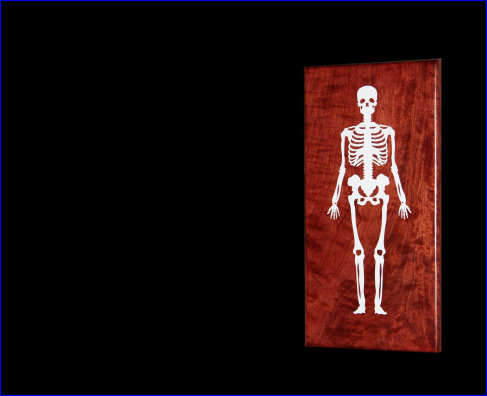 american_anatomical013004.jpg